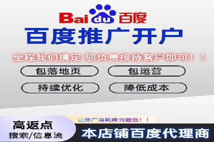 SEM推广策略：成功案例分享与优化技巧